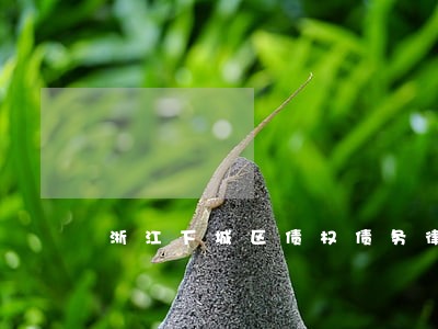 浙江下城区债权债务律师 浙江下城区债权债务律师