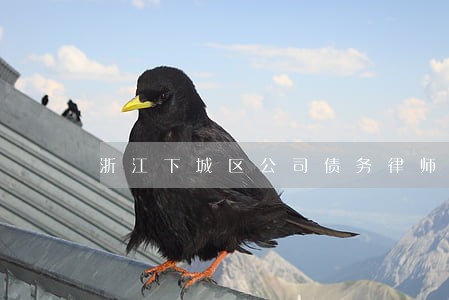 浙江下城区公司债务律师哪里找 浙江下城区公司债务律师哪里找