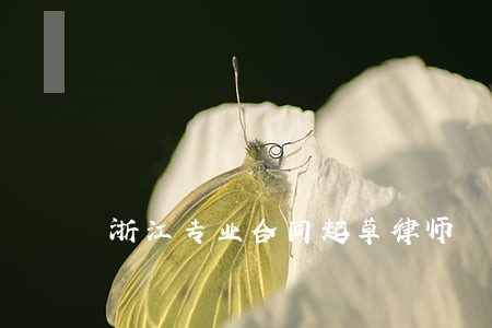 浙江专业合同起草律师 浙江专业合同起草律师