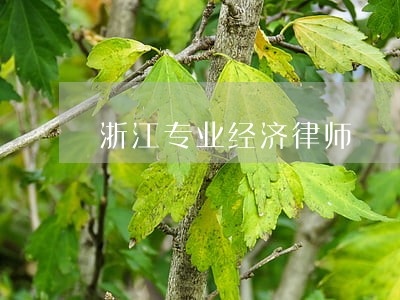 浙江专业经济律师 浙江专业经济律师