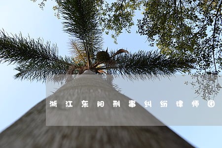 浙江东阳刑事纠纷律师团队 浙江东阳刑事纠纷律师团队