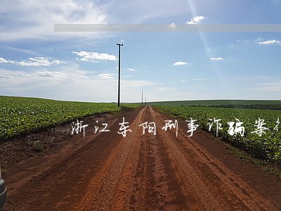 浙江东阳刑事诈骗案律师查询