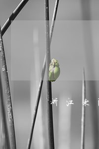 浙江东阳刑事诉讼律师介绍 浙江东阳刑事诉讼律师介绍