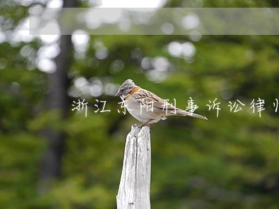浙江东阳刑事诉讼律师哪个好 浙江东阳刑事诉讼律师哪个好
