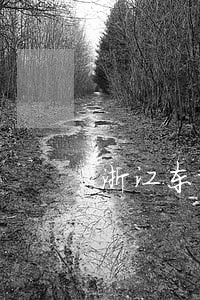 浙江东阳妨碍公务案律师事务所 浙江东阳妨碍公务案律师事务所
