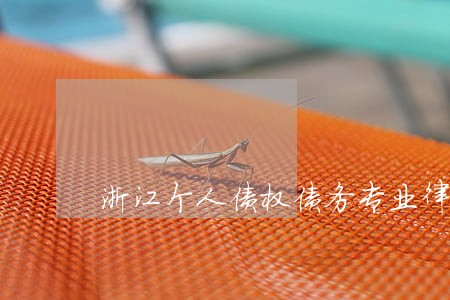浙江个人债权债务专业律师 浙江个人债权债务专业律师