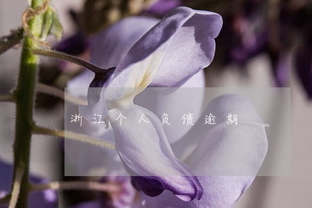 浙江个人负债逾期 浙江个人负债逾期