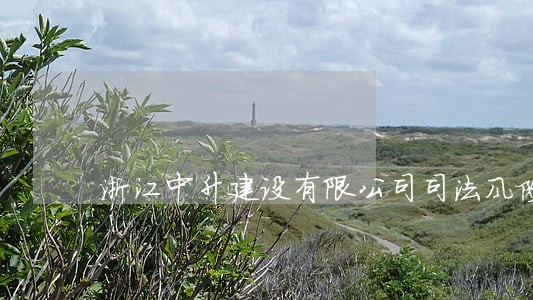 浙江中升建设有限公司司法风险 浙江中升建设有限公司司法风险
