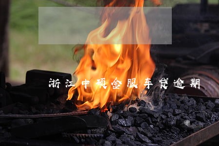 浙江中硕金服车贷逾期 浙江中硕金服车贷逾期