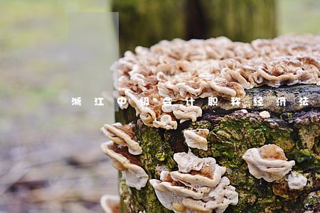 浙江中级会计职称经济法考试 浙江中级会计职称经济法考试