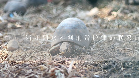 浙江丽水不判刑辩护律师联系方式 浙江丽水不判刑辩护律师联系方式