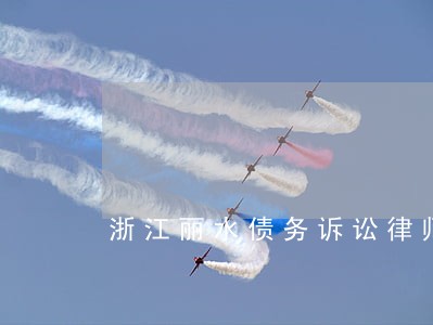 浙江丽水债务诉讼律师 浙江丽水债务诉讼律师