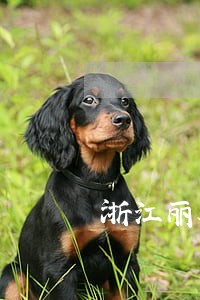 浙江丽水法院陈某宇