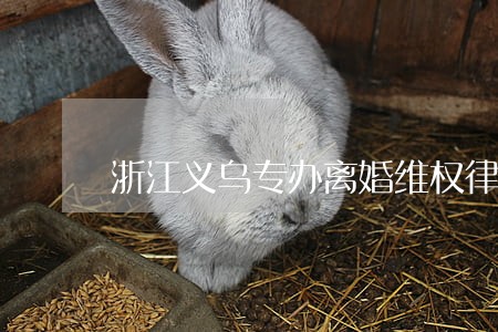 浙江义乌专办离婚维权律师排行