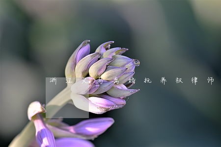 浙江义乌离婚抚养权律师电话咨询 浙江义乌离婚抚养权律师电话咨询