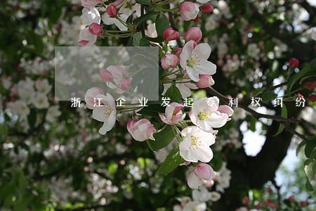浙江企业发起专利权纠纷诉讼 浙江企业发起专利权纠纷诉讼