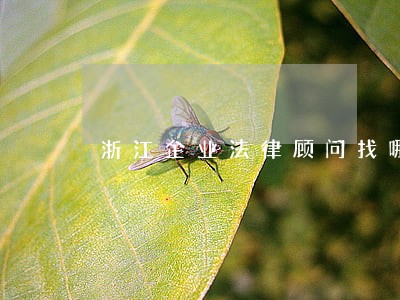 浙江企业法律顾问找哪家 浙江企业法律顾问找哪家
