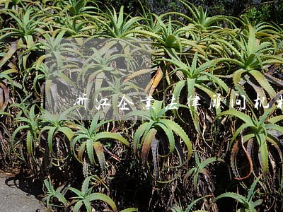 浙江企业法律顾问机构