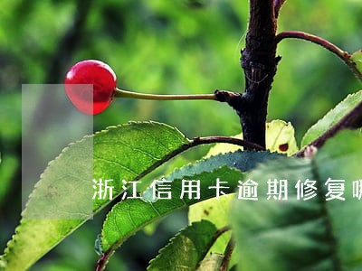 浙江信用卡逾期修复哪家好