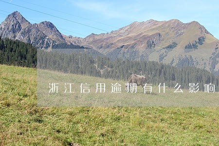 浙江信用逾期有什么影响