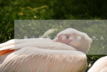 浙江借呗负债逾期有什么后果 浙江借呗负债逾期有什么后果