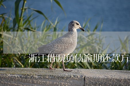 浙江借呗负债逾期还款方法 浙江借呗负债逾期还款方法