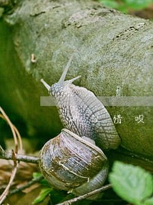 浙江借呗逾期10万怎么解决 浙江借呗逾期10万怎么解决