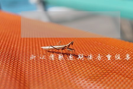 浙江借款逾期债务重组案例 浙江借款逾期债务重组案例