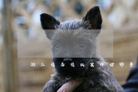 浙江债务债权案件律师费多少钱 浙江债务债权案件律师费多少钱