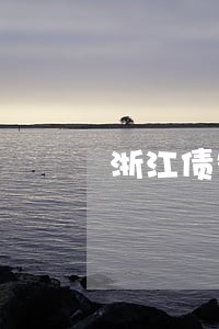 浙江债务合同律师法律服务 浙江债务合同律师法律服务