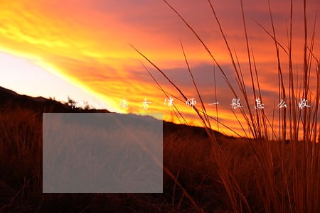 浙江债务律师一般怎么收费 浙江债务律师一般怎么收费