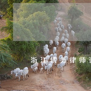 浙江债务律师咨询免费 浙江债务律师咨询免费
