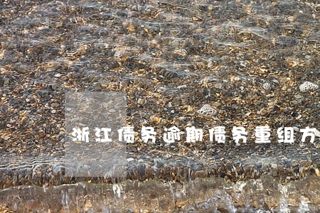 浙江债务逾期债务重组方式 浙江债务逾期债务重组方式