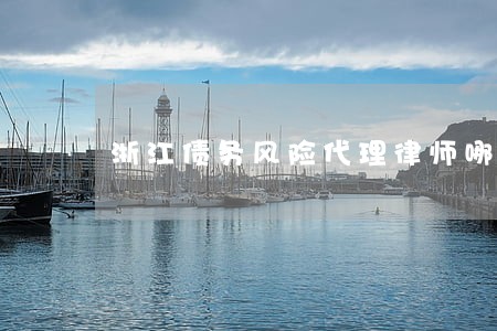浙江债务风险代理律师哪个好 浙江债务风险代理律师哪个好