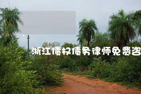 浙江债权债务律师免费咨询 浙江债权债务律师免费咨询