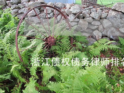 浙江债权债务律师排名 浙江债权债务律师排名