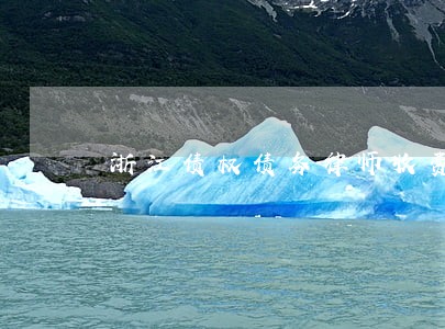 浙江债权债务律师收费标准
