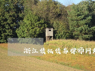 浙江债权债务律师网站 浙江债权债务律师网站