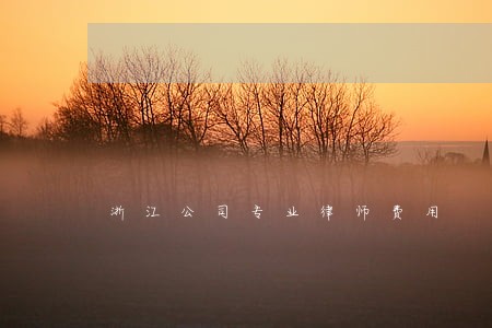 浙江公司专业律师费用 浙江公司专业律师费用