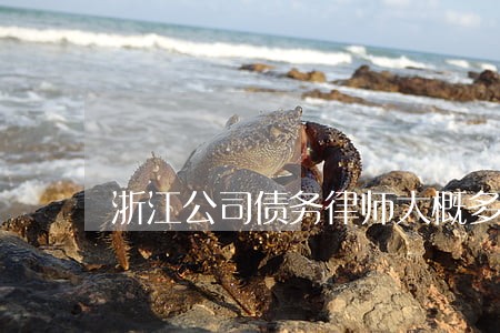 浙江公司债务律师大概多少钱