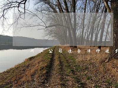 浙江公司债务律师收费 浙江公司债务律师收费