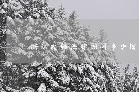 浙江内部法律顾问多少钱 浙江内部法律顾问多少钱