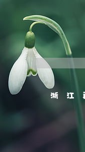 浙江再出重拳打击市场违法行为 浙江再出重拳打击市场违法行为