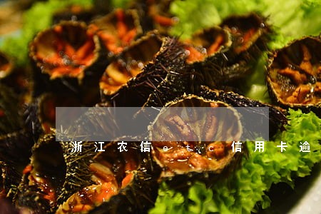 浙江农信etc信用卡逾期
