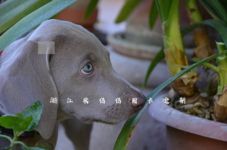 浙江农信信用卡逾期 浙江农信信用卡逾期