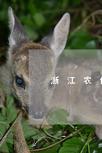 浙江农信车贷信用卡逾期7天 浙江农信车贷信用卡逾期7天