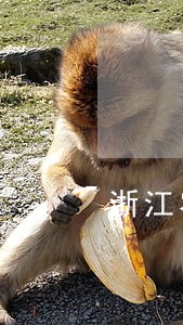 浙江农信逾期一个月