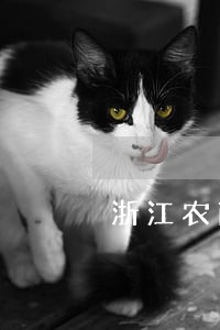 浙江农商银行贷款逾期 浙江农商银行贷款逾期