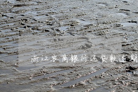 浙江农商银行还贷款逾期一天 浙江农商银行还贷款逾期一天