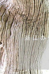 浙江办公厅法律援助